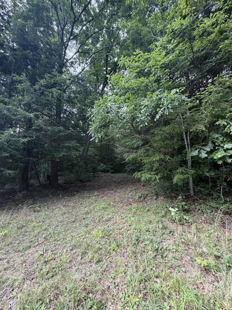 0000 0000 Mathis Road Mckee KY 40447