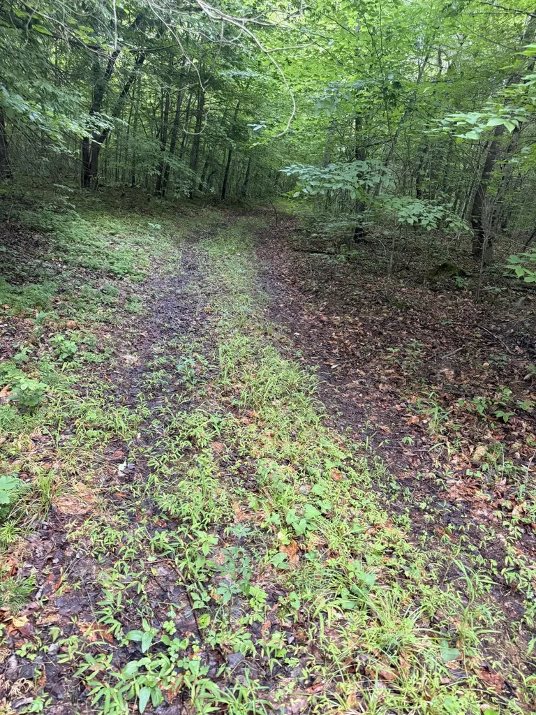 0000 0000 Mathis Road Mckee KY 40447