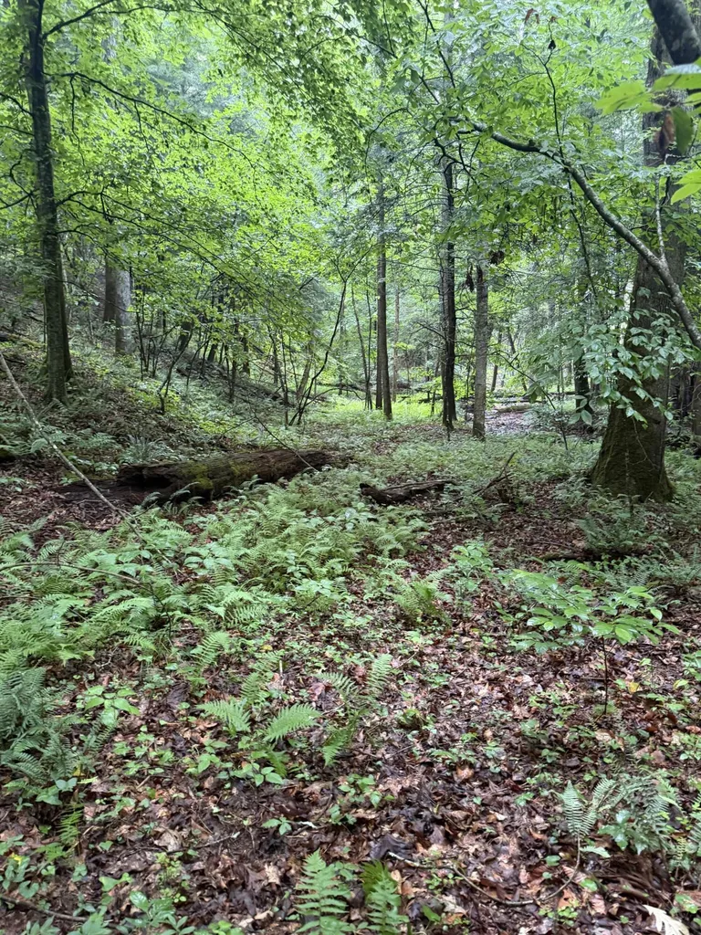 0000 0000 Mathis Road Mckee KY 40447