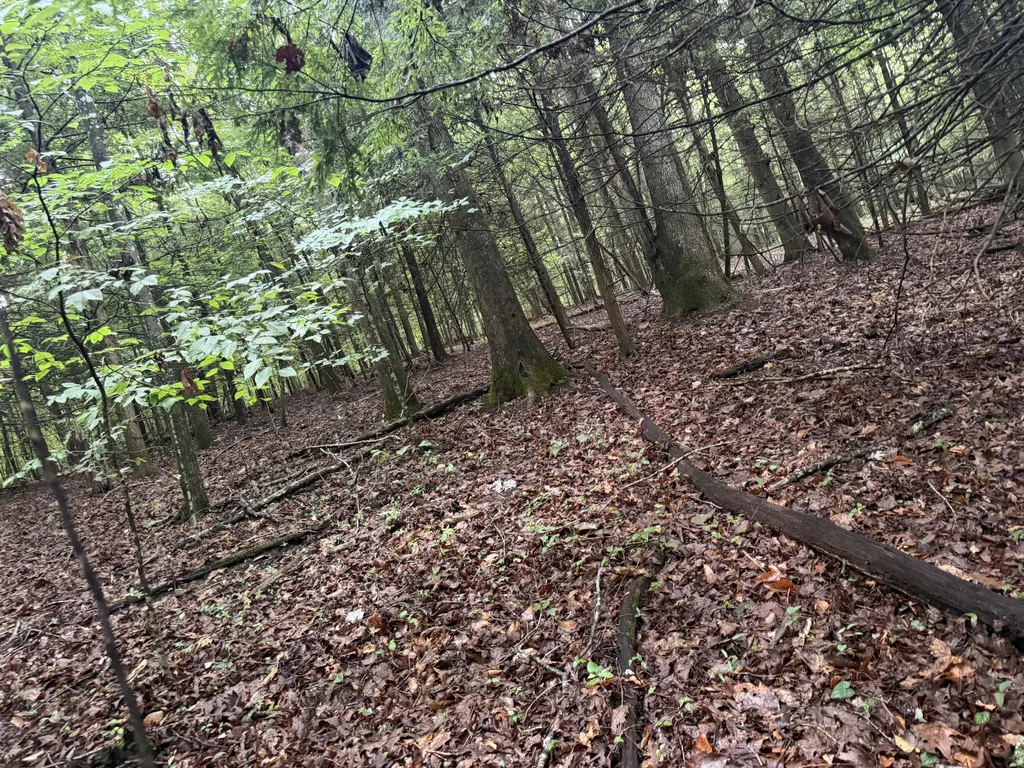 0000 0000 Mathis Road Mckee KY 40447