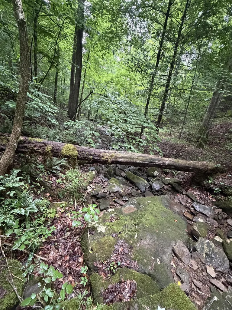 0000 0000 Mathis Road Mckee KY 40447