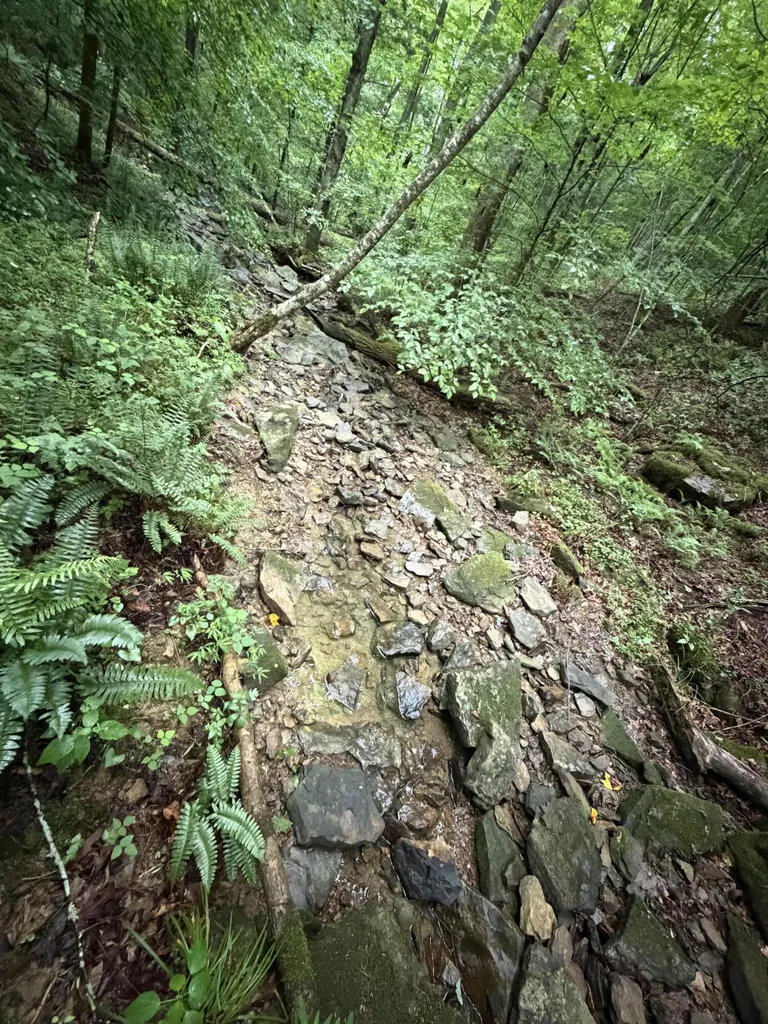 0000 0000 Mathis Road Mckee KY 40447