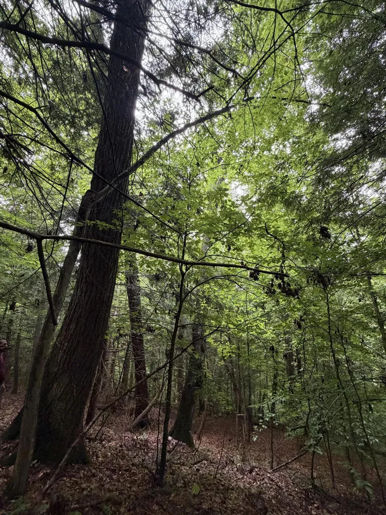 0000 0000 Mathis Road Mckee KY 40447