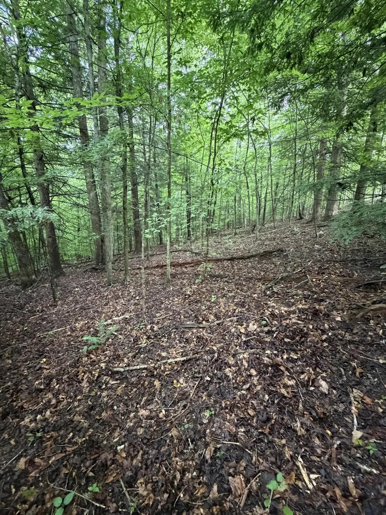 0000 0000 Mathis Road Mckee KY 40447