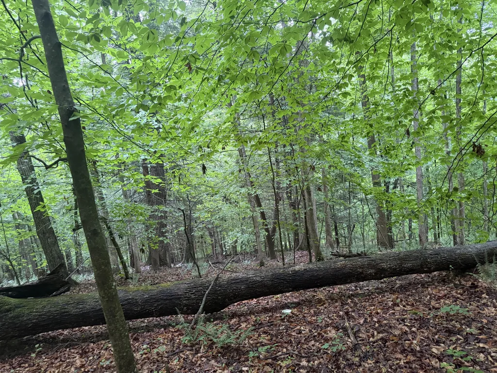 0000 0000 Mathis Road Mckee KY 40447