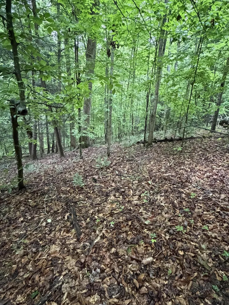 0000 0000 Mathis Road Mckee KY 40447