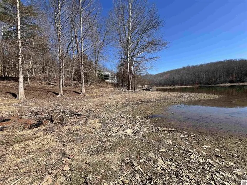 Tract 2 Oak Ridge Road Cadiz KY 42211