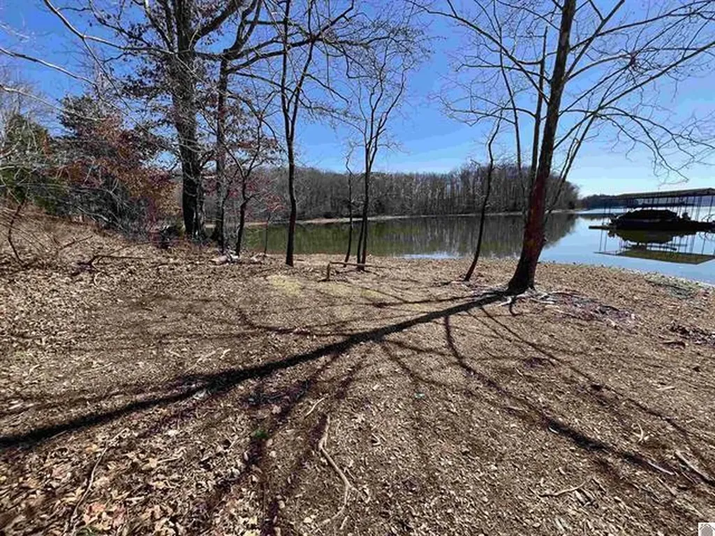 Tract 2 Oak Ridge Road Cadiz KY 42211