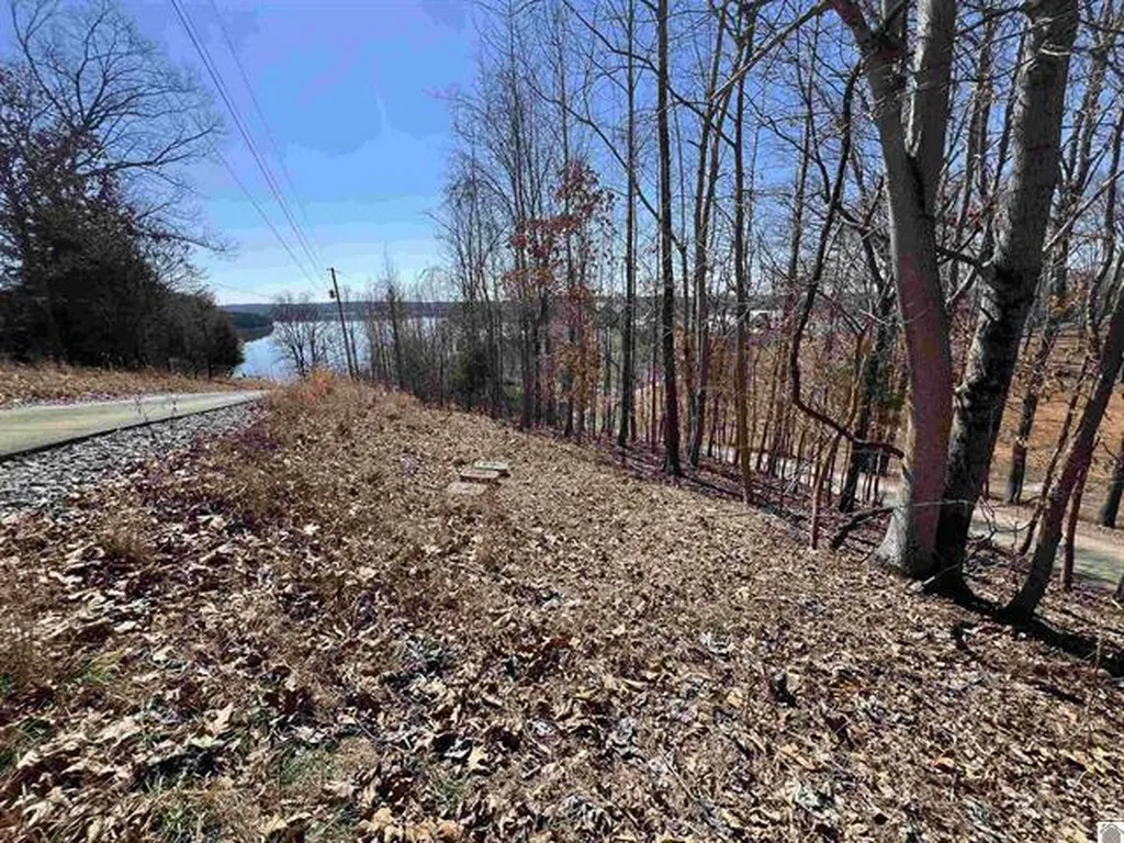 Tract 2 Oak Ridge Road Cadiz KY 42211