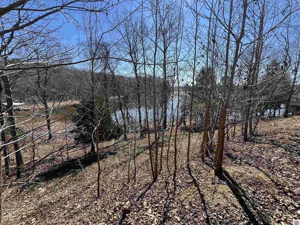 Tract 2 Oak Ridge Road Cadiz KY 42211