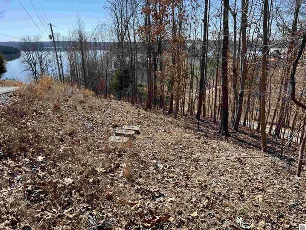 Tract 2 Oak Ridge Road Cadiz KY 42211