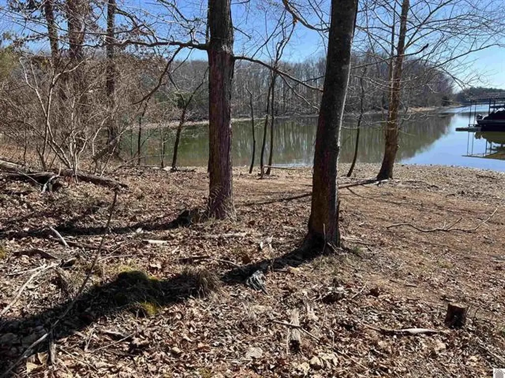 Tract 2 Oak Ridge Road Cadiz KY 42211