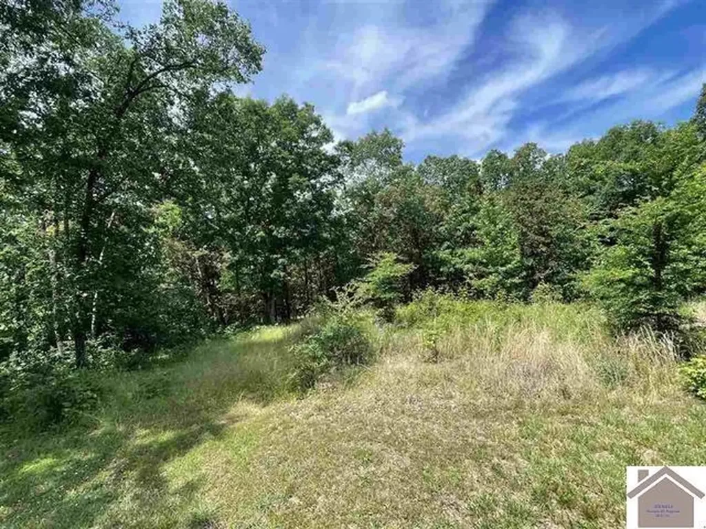 00 Dock Dr. Lot 66 Murray KY 42071