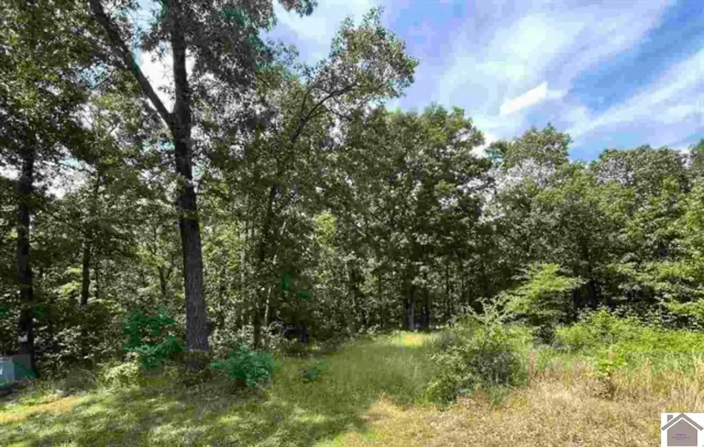 00 Dock Dr. Lot 66 Murray KY 42071