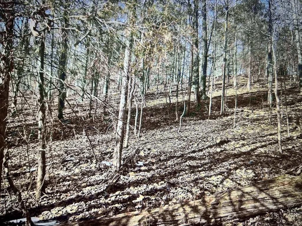 034 Canton Heights 2 Circle Cadiz KY 42211