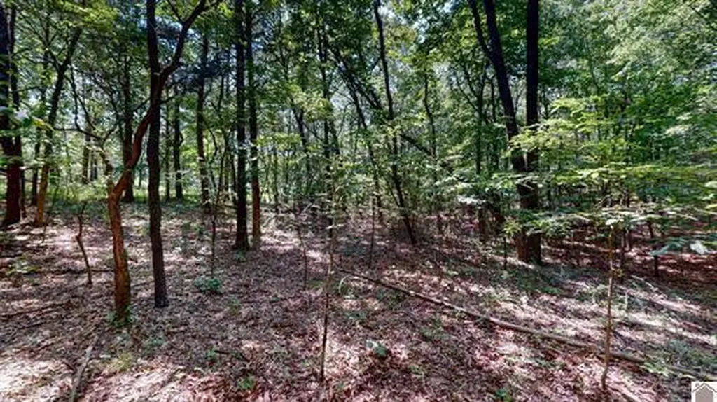 00 Streetland Lane Murray KY 42071