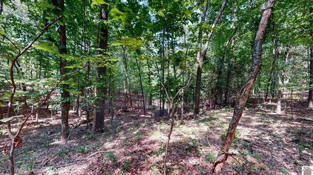 00 Streetland Lane Murray KY 42071