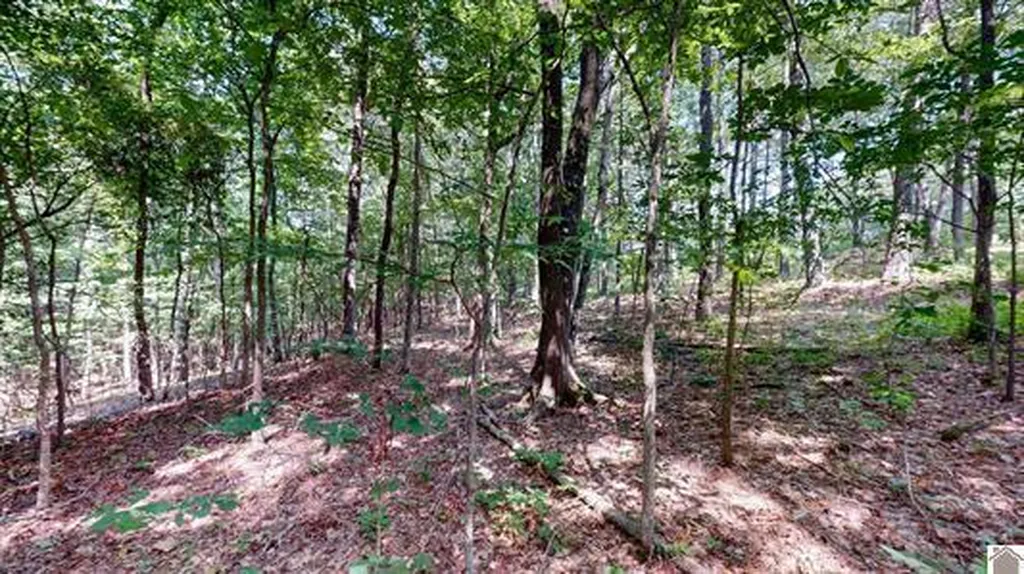 00 Streetland Lane Murray KY 42071