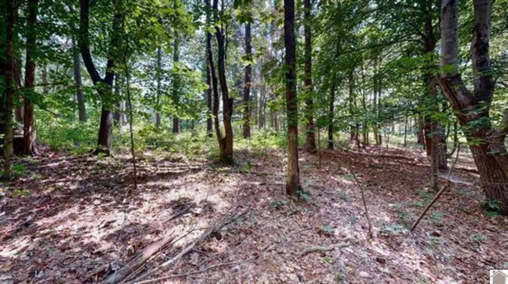 00 Streetland Lane Murray KY 42071