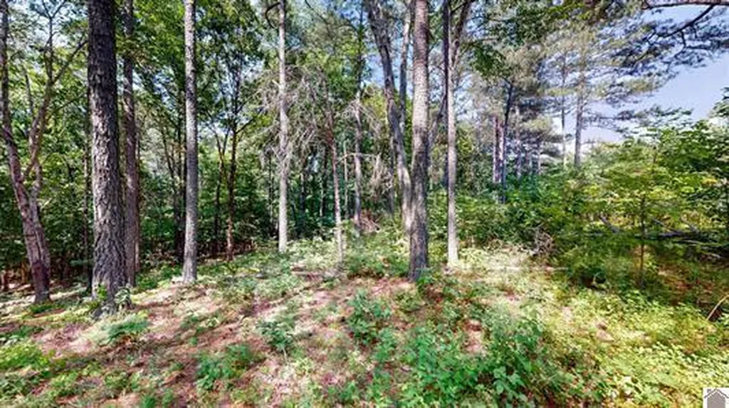00 Streetland Lane Murray KY 42071