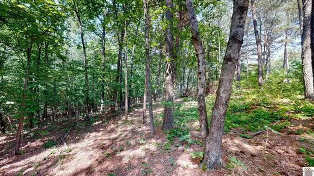 00 Streetland Lane Murray KY 42071