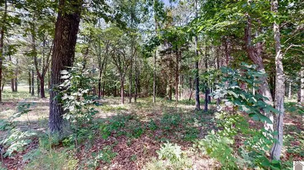 00 Streetland Lane Murray KY 42071