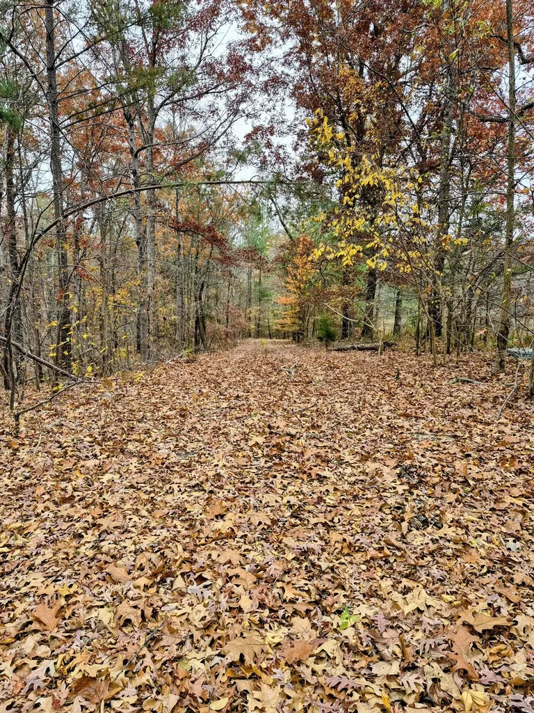 Lot #3 #4 #5 & 37.66 Acre Bear Run Trail Benton KY 42025