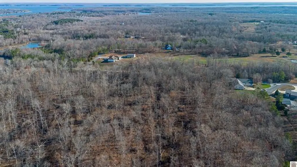 Lot #3 #4 #5 & 37.66 Acre Bear Run Trail Benton KY 42025