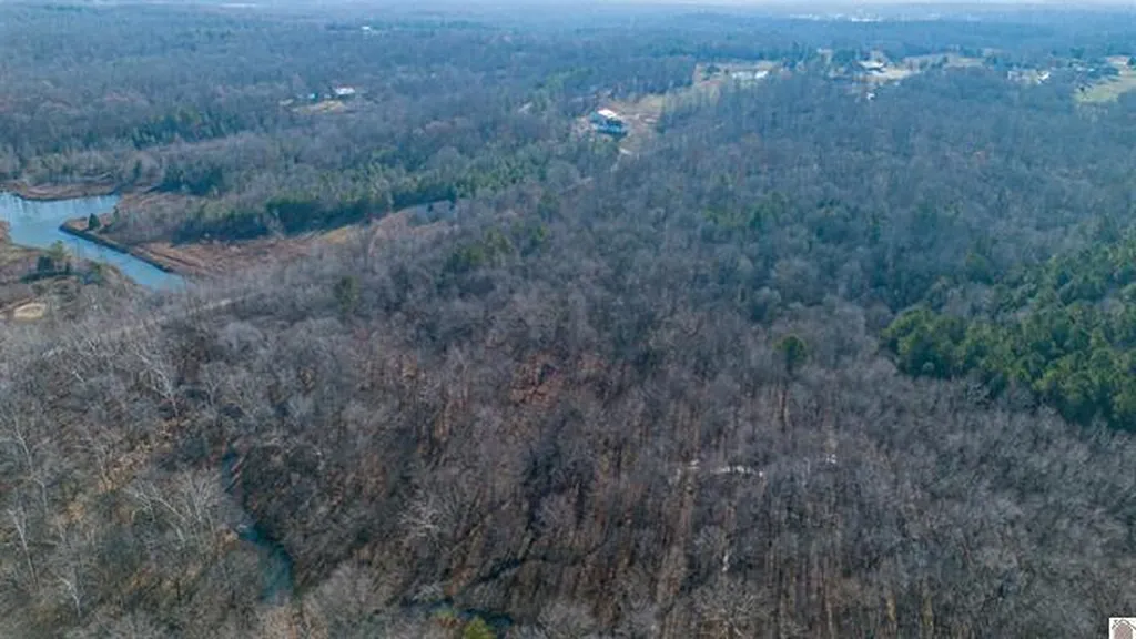 Lot #3 #4 #5 & 37.66 Acre Bear Run Trail Benton KY 42025