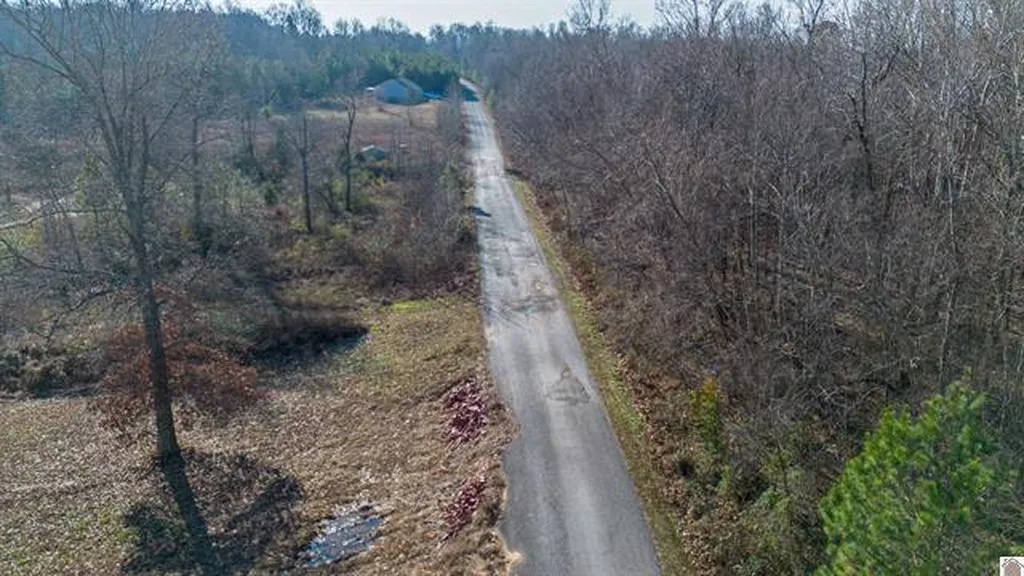 Lot #3 #4 #5 & 37.66 Acre Bear Run Trail Benton KY 42025