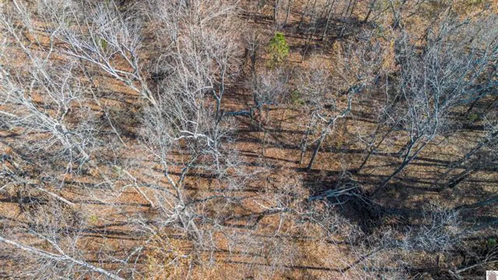 Lot #3 #4 #5 & 37.66 Acre Bear Run Trail Benton KY 42025