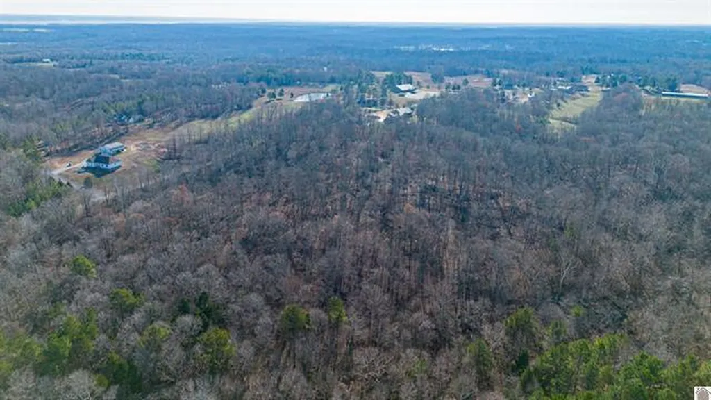 Lot #3 #4 #5 & 37.66 Acre Bear Run Trail Benton KY 42025