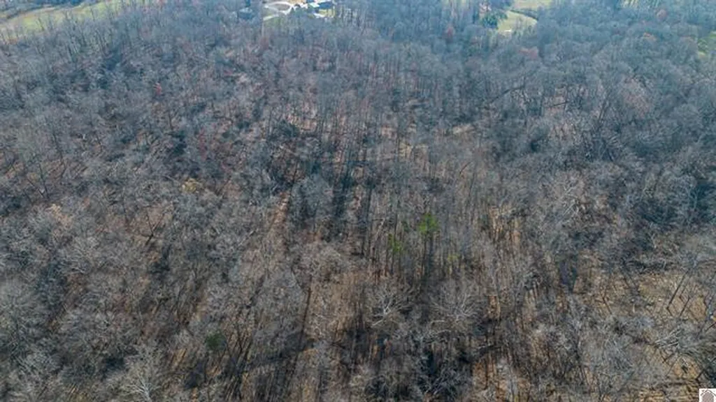 Lot #3 #4 #5 & 37.66 Acre Bear Run Trail Benton KY 42025