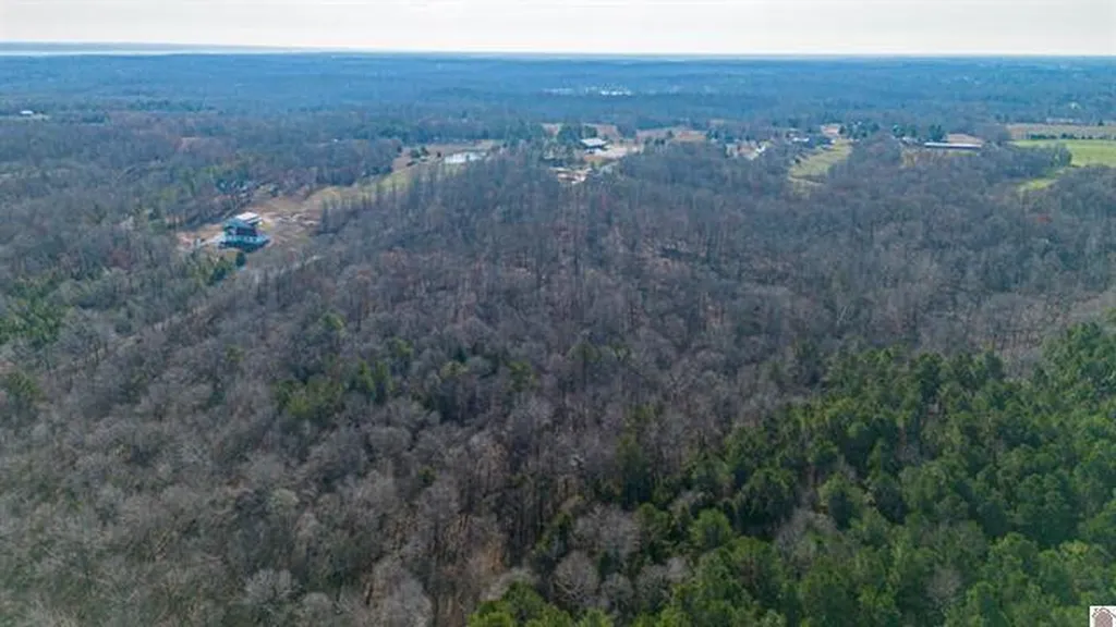 Lot #3 #4 #5 & 37.66 Acre Bear Run Trail Benton KY 42025