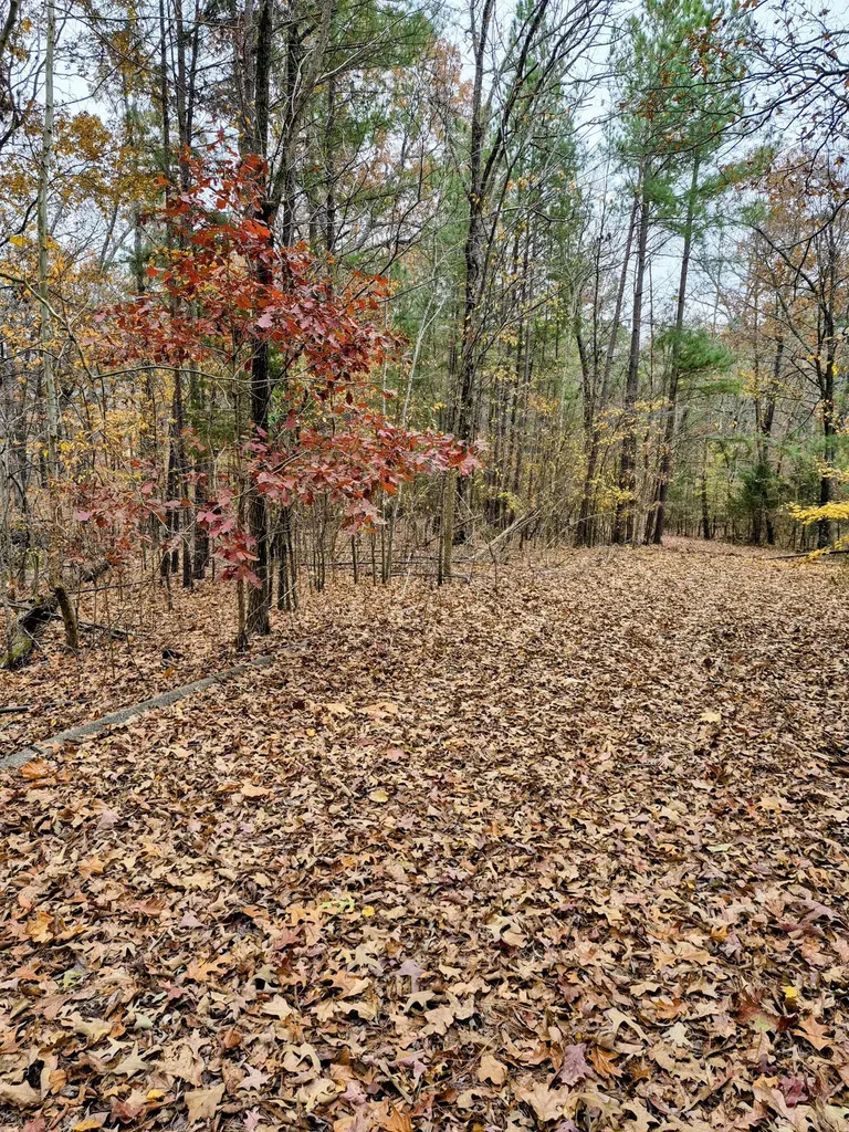 Lot #3 #4 #5 & 37.66 Acre Bear Run Trail Benton KY 42025