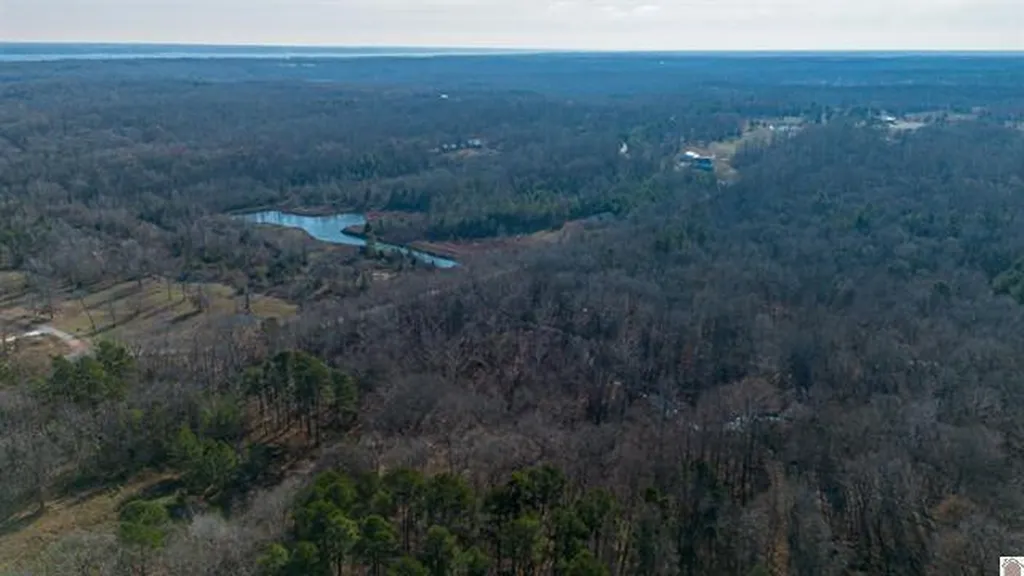 Lot #3 #4 #5 & 37.66 Acre Bear Run Trail Benton KY 42025