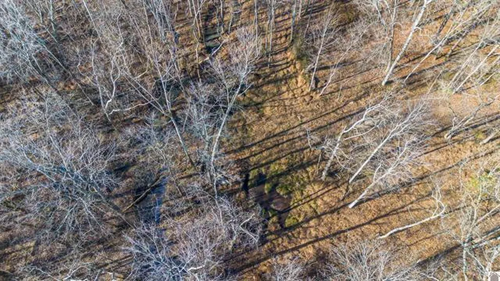 Lot #3 #4 #5 & 37.66 Acre Bear Run Trail Benton KY 42025