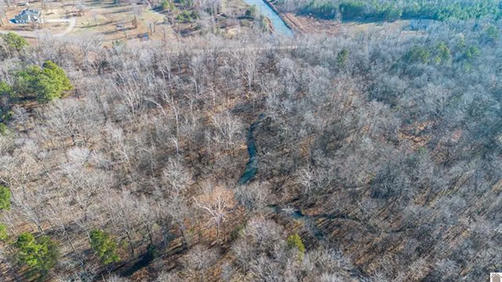 Lot #3 #4 #5 & 37.66 Acre Bear Run Trail Benton KY 42025
