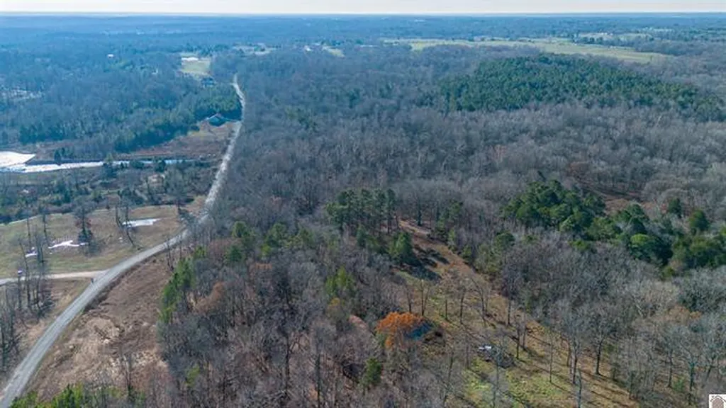 Lot #3 #4 #5 & 37.66 Acre Bear Run Trail Benton KY 42025