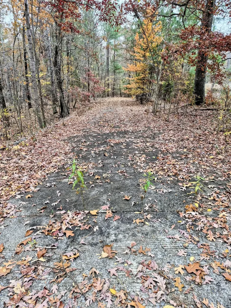 Lot #3 #4 #5 & 37.66 Acre Bear Run Trail Benton KY 42025