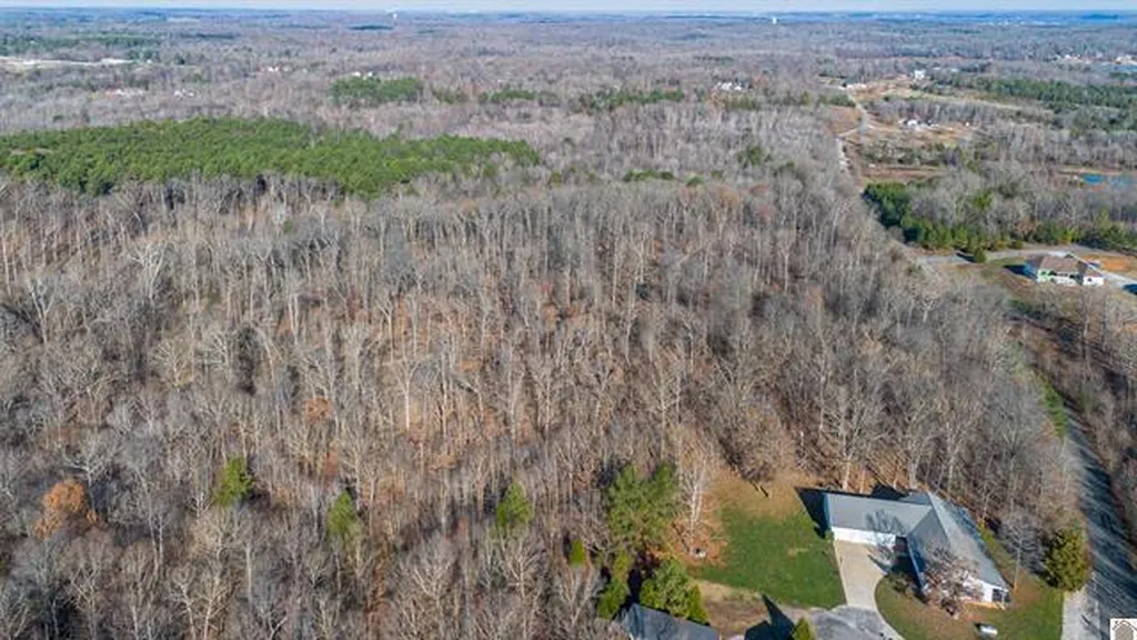 Lot #3 #4 #5 & 37.66 Acre Bear Run Trail Benton KY 42025