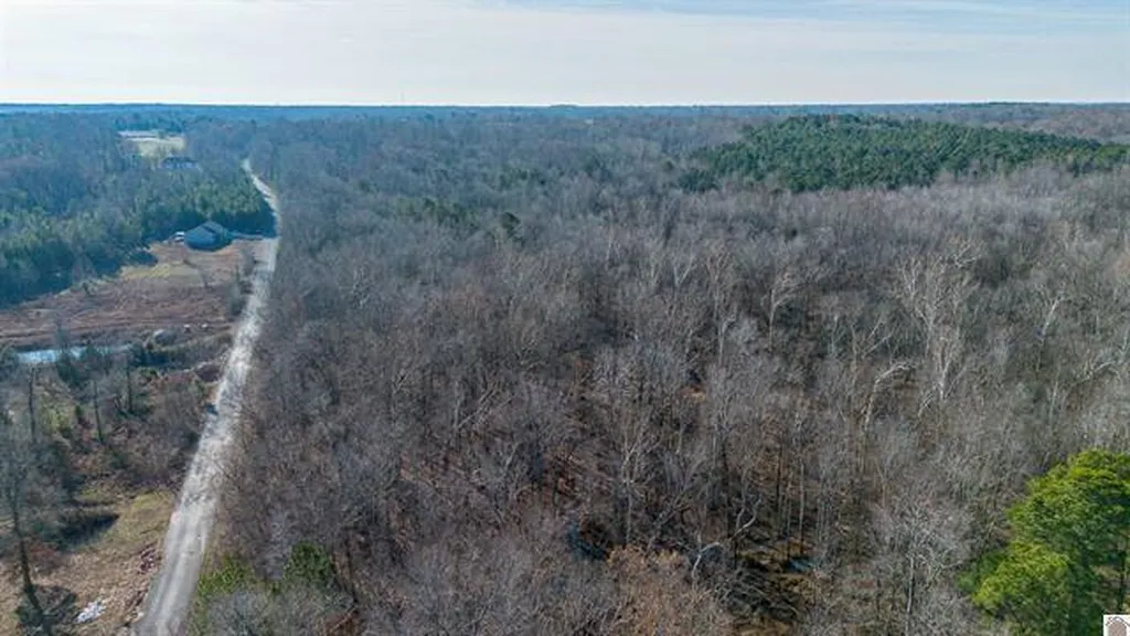 Lot #3 #4 #5 & 37.66 Acre Bear Run Trail Benton KY 42025
