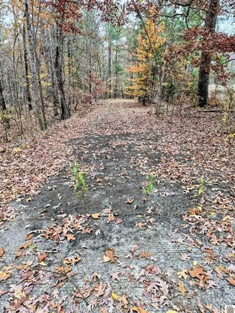 Lot #3 #4 #5 & 37.66 Acre Bear Run Trail Benton KY 42025