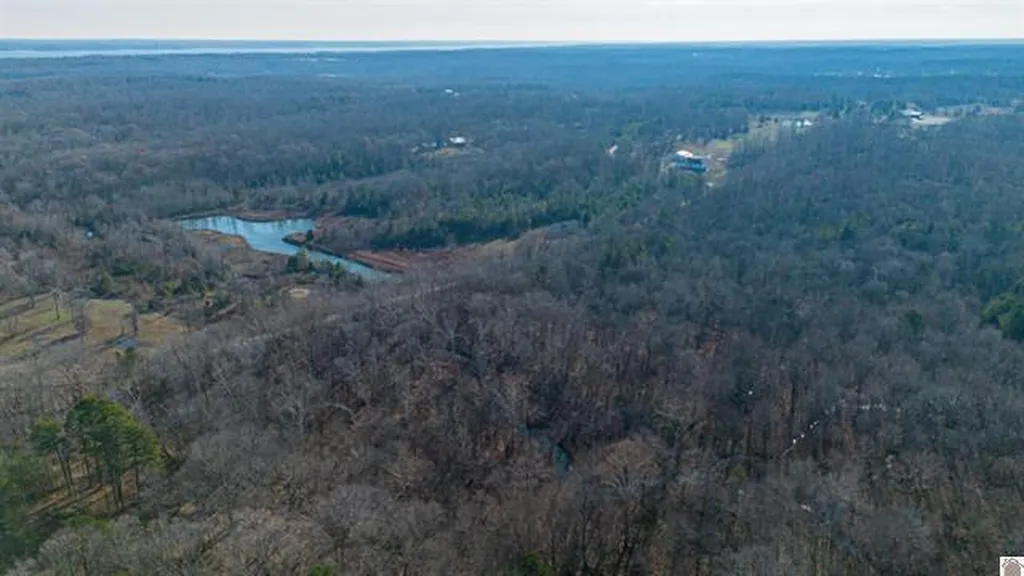 Lot #3 #4 #5 & 37.66 Acre Bear Run Trail Benton KY 42025