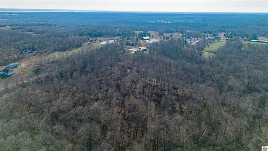 Lot #3 #4 #5 & 37.66 Acre Bear Run Trail Benton KY 42025