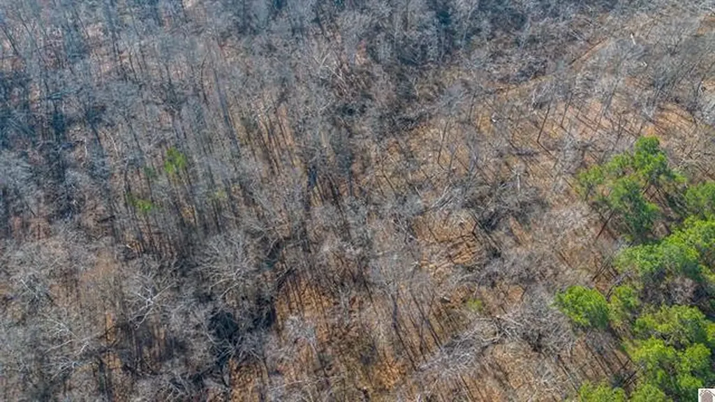Lot #3 #4 #5 & 37.66 Acre Bear Run Trail Benton KY 42025
