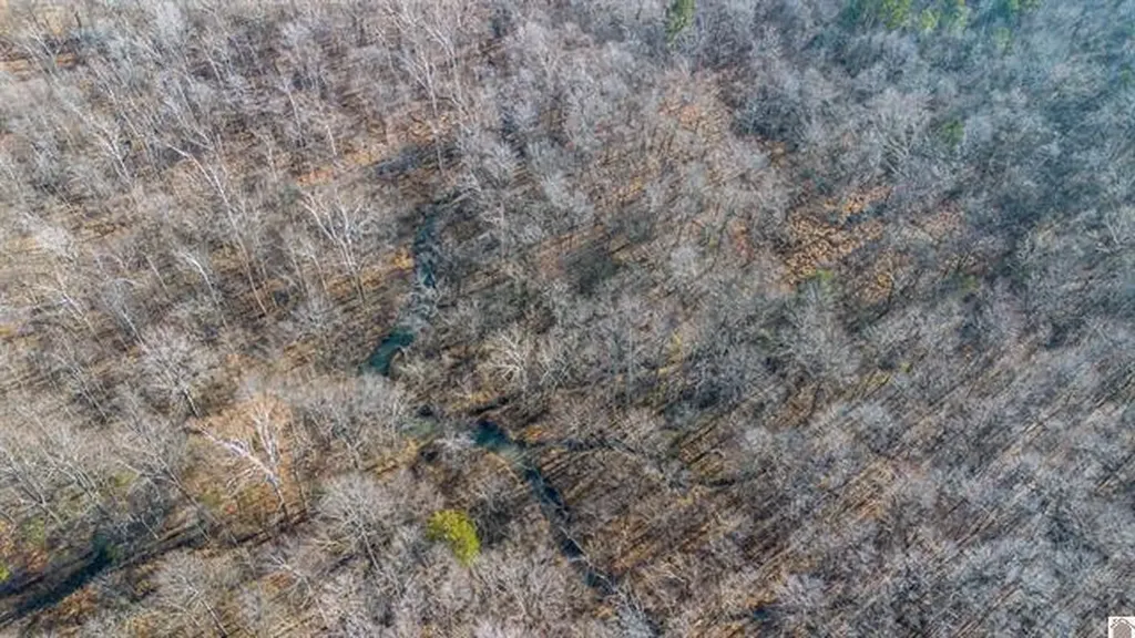 Lot #3 #4 #5 & 37.66 Acre Bear Run Trail Benton KY 42025