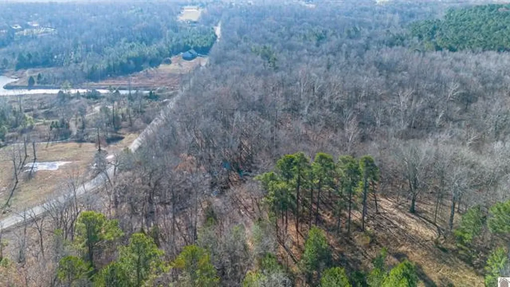 Lot #3 #4 #5 & 37.66 Acre Bear Run Trail Benton KY 42025