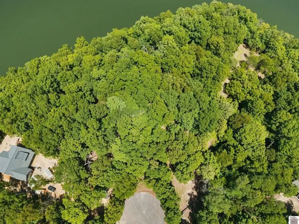 Lot 24 Pier Lane Murray KY 42071