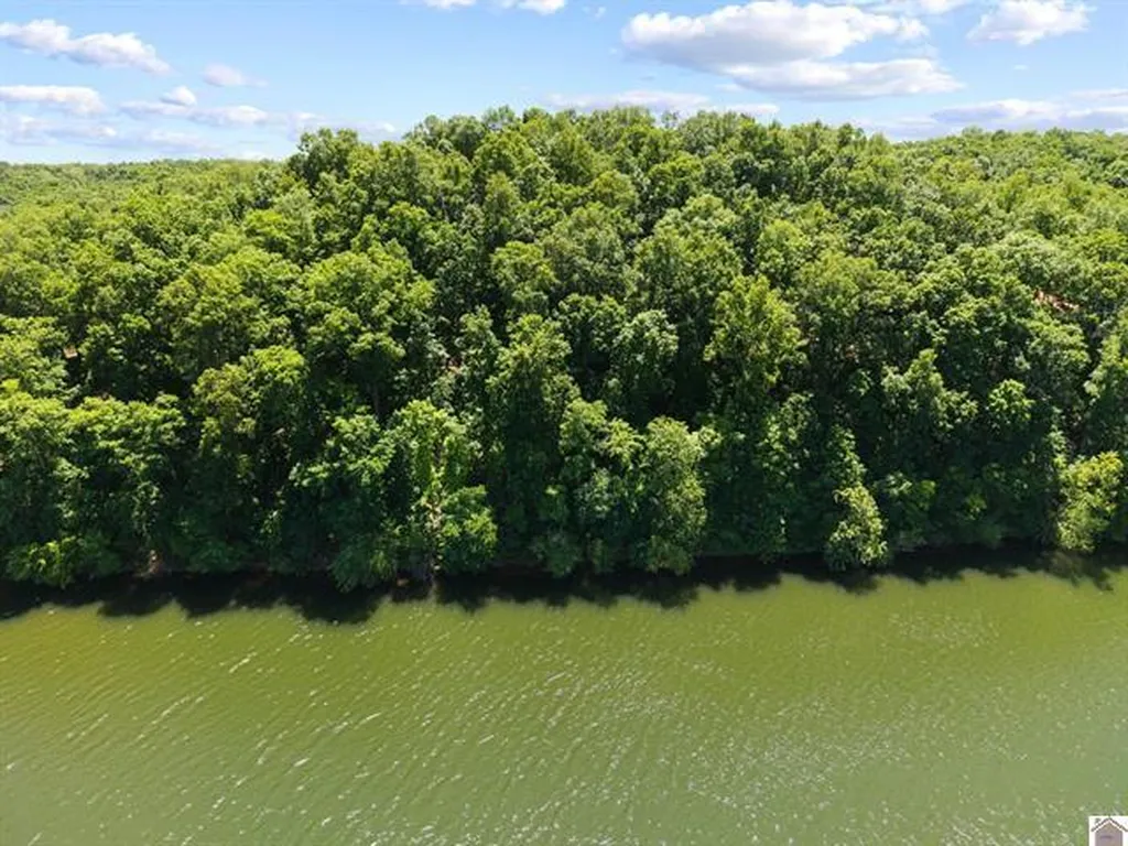 Lot 24 Pier Lane Murray KY 42071
